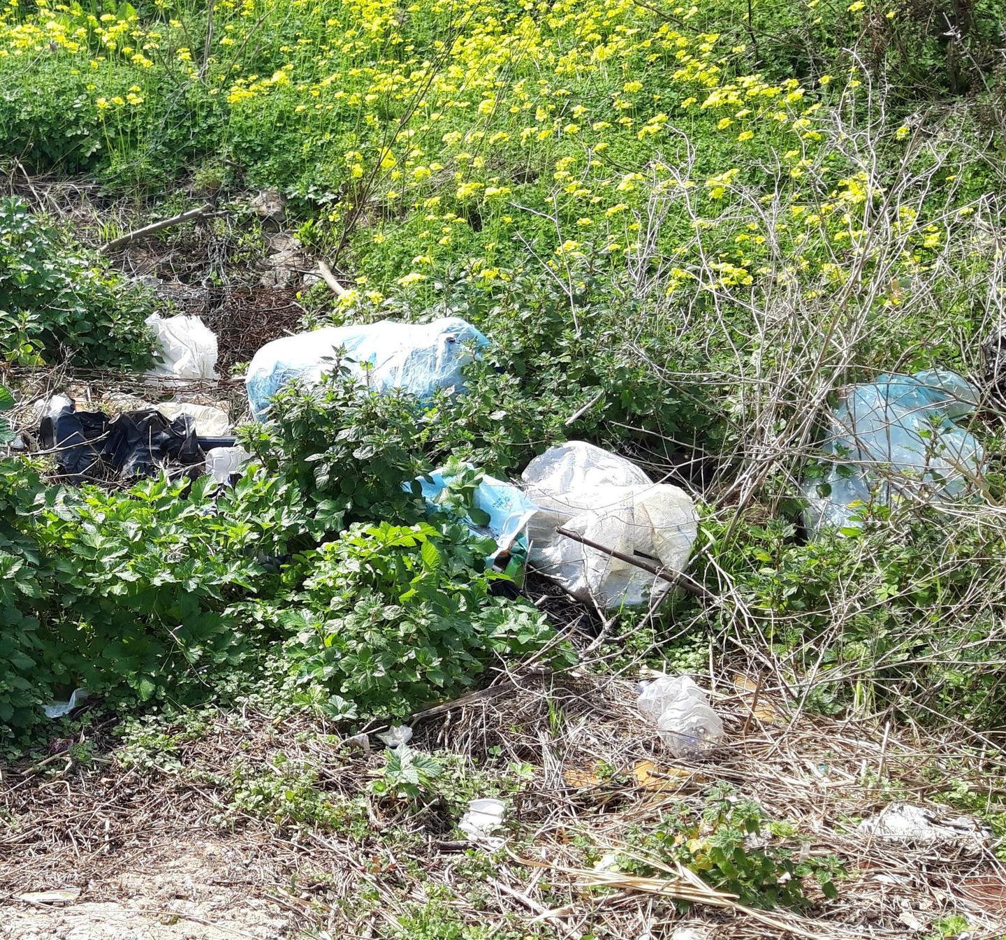 La solita immondizia dietro la vegetazione e oltre il guardrail
