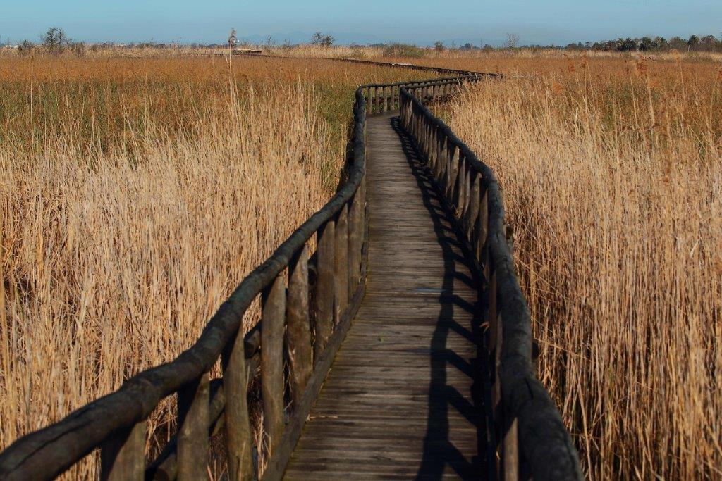 L'oasi Lipu del lago di Massaciuccoli