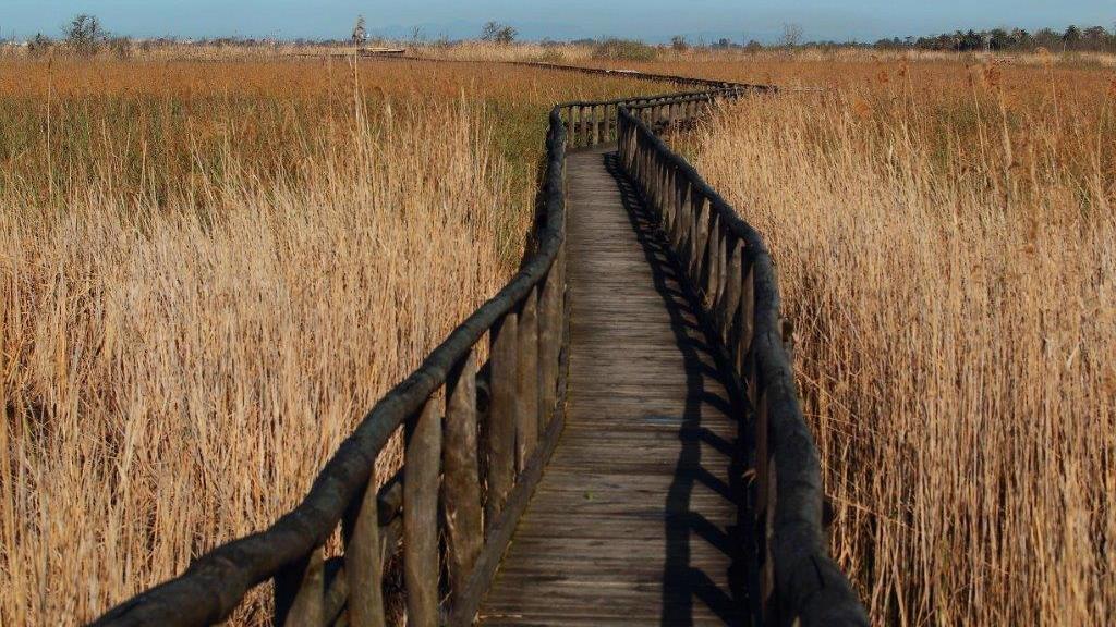 L'oasi Lipu del lago di Massaciuccoli