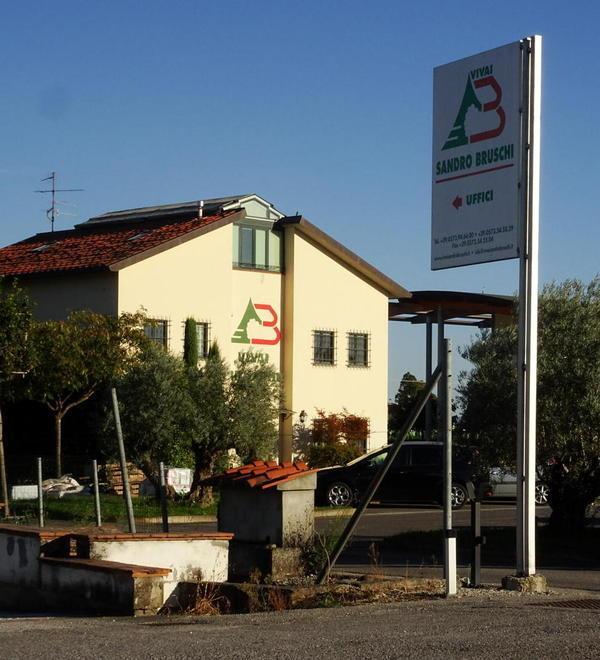 Fallimento della “Sandro Bruschi Vivai”, ad aprile l’asta da quasi 11 milioni di euro 