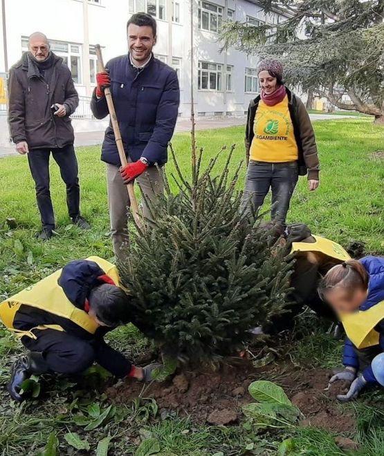 Gli studenti salvano gli alberi di Natale 
