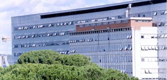 Epidemia cinese «L’azienda sanitaria sta sorvegliando» 