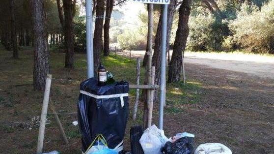 Calcinacci e potature fuori dai cassonetti