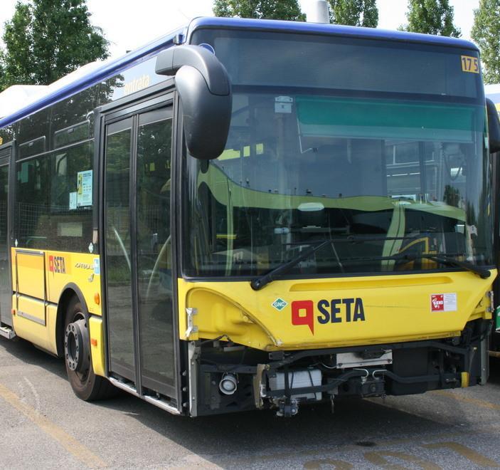 Vezzano, bus investe e uccide un daino: paura per i passeggeri