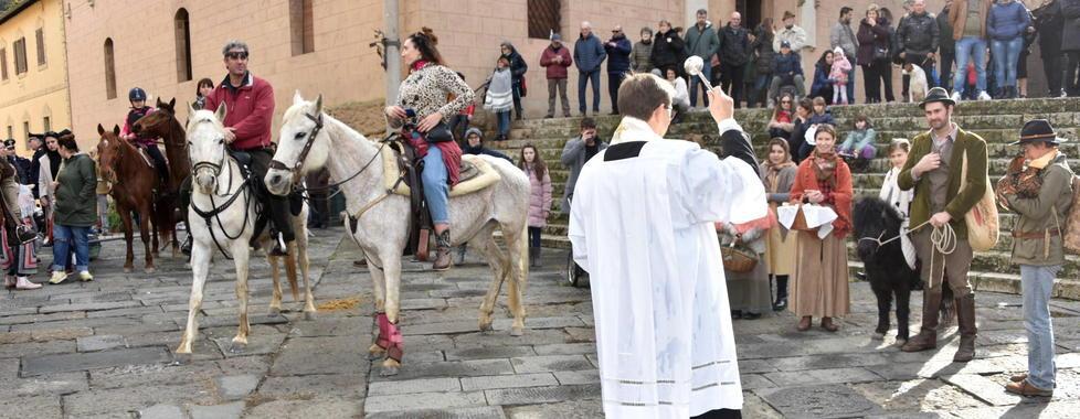 Massa Marittima celebra S.Antonio