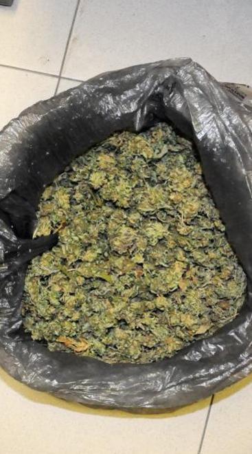 Condannato per la droga nascosta nella stalla a Gello
