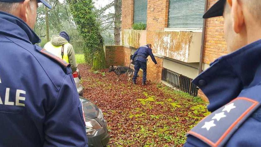 Controlli antidroga della municipale all’istituto agrario