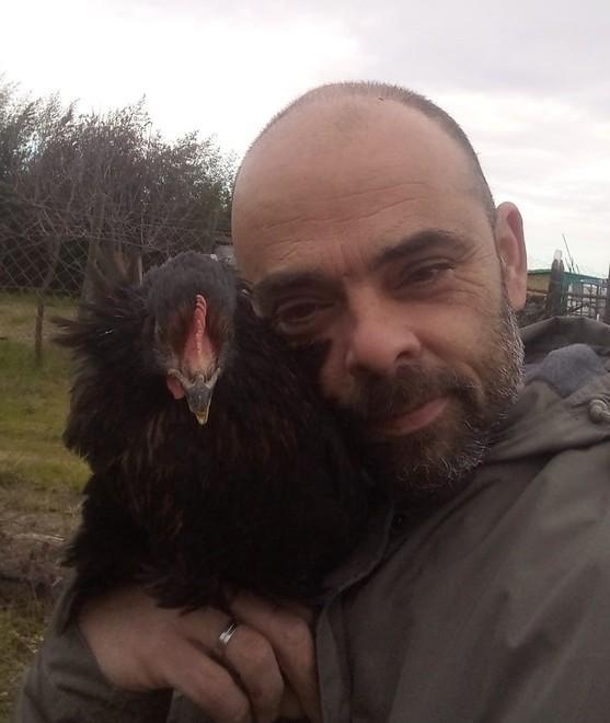 Ladri rubano galline negli orti a San Martino 
