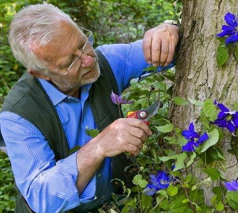 A lezione da un “mago” giardiniere 