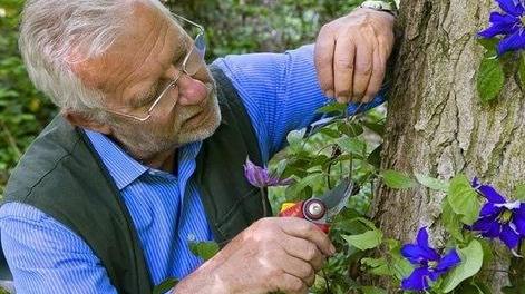 A lezione da un “mago” giardiniere