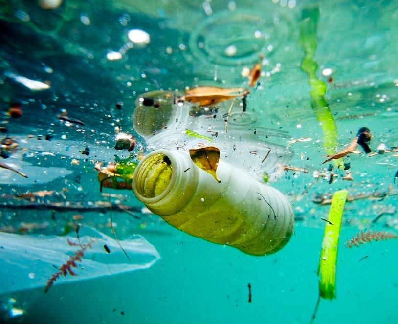 Ocean night, una giornata per il “plastic free” 