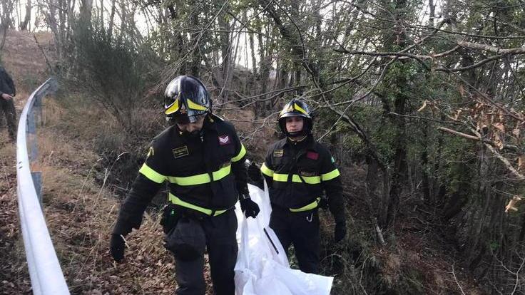 Sparano a una cagnolina da caccia e la gettano in un dirupo nel bosco