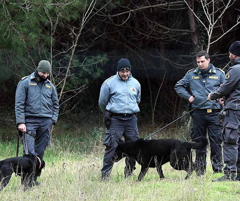 Finanza con l'elicottero a Marina di Massa: c’è un arrestato 