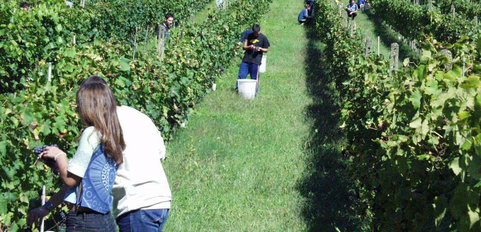 Al Polo-Cattaneo nasce l’agricoltura “specializzata” 
