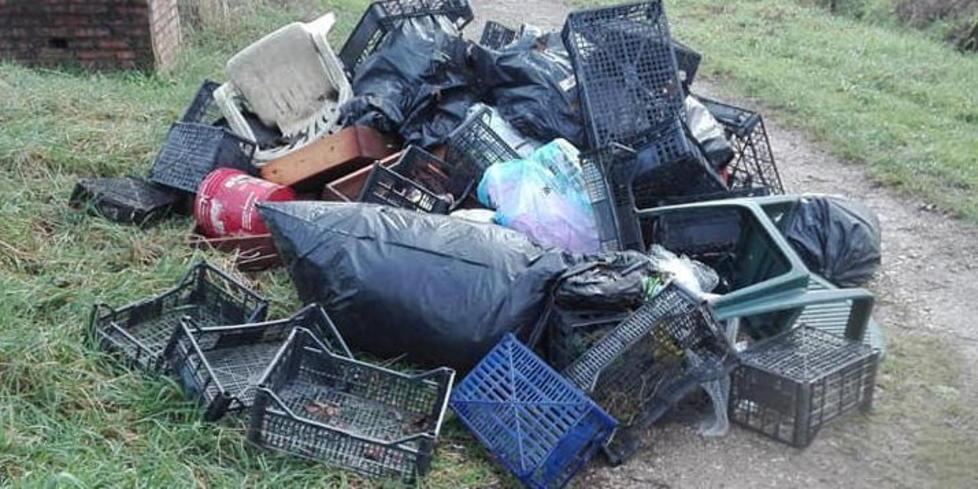 Nel verde spunta una discarica di rifiuti e plastica