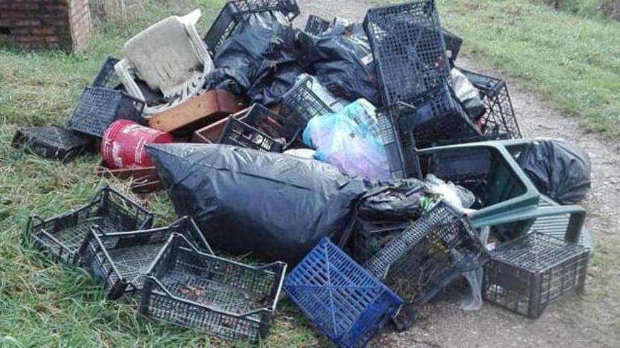 Nel verde spunta una discarica di rifiuti e plastica