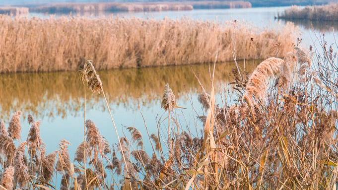 Turismo lento e zone umide Una risorsa per il territorio