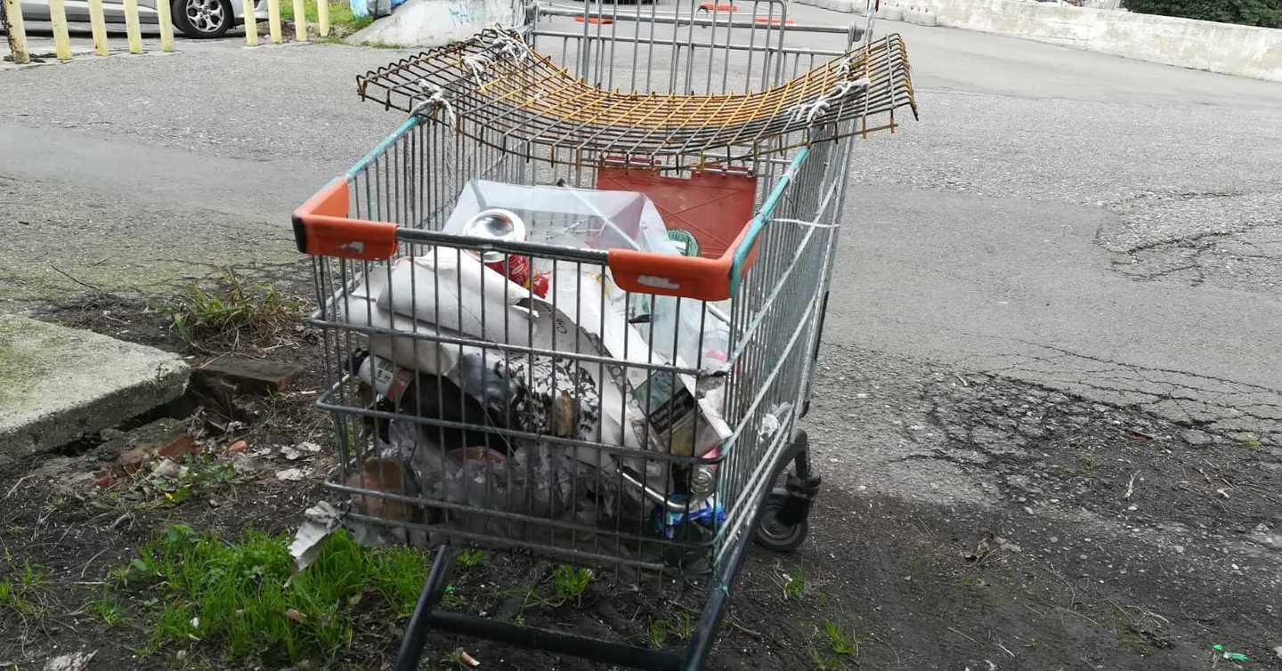 Carrello abbandonato da un anno