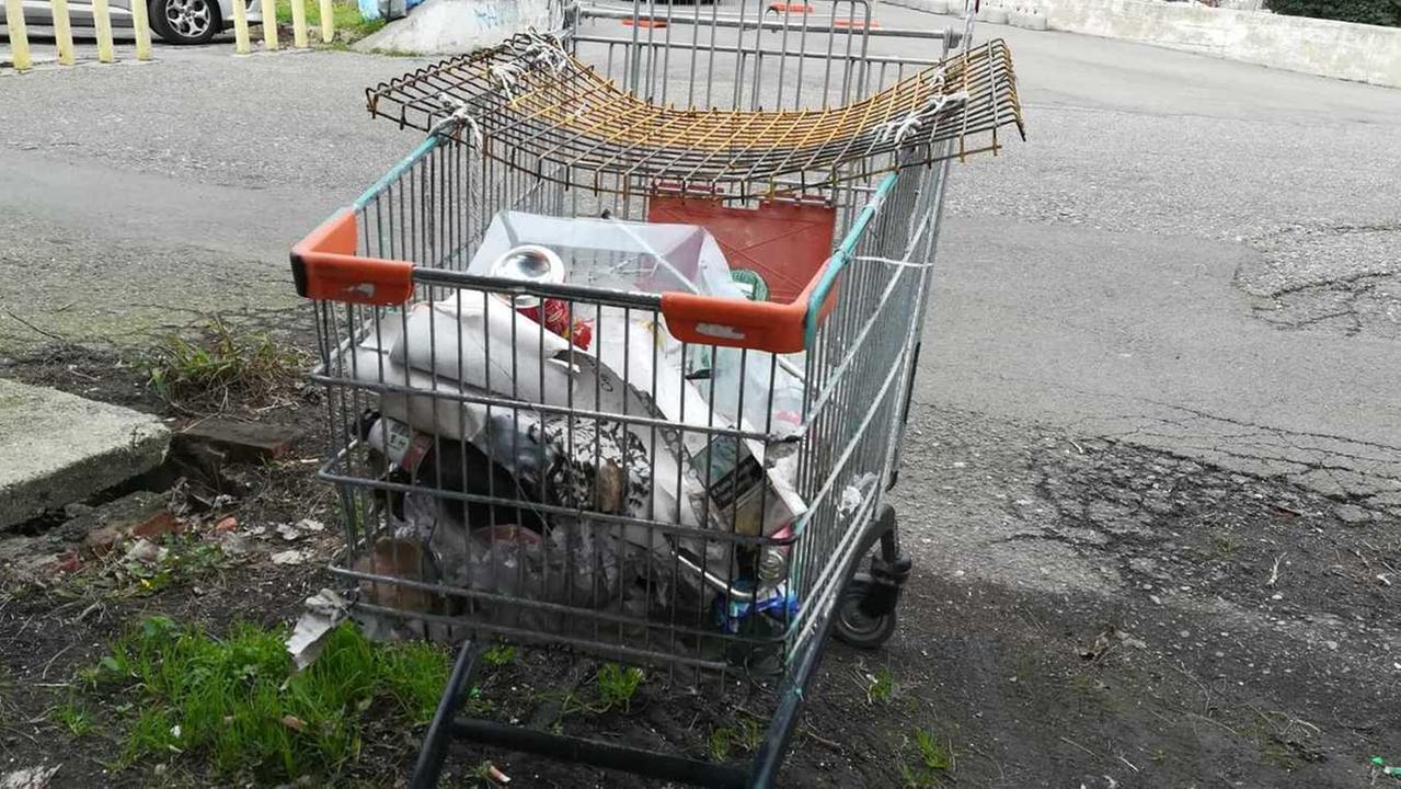 Carrello abbandonato da un anno