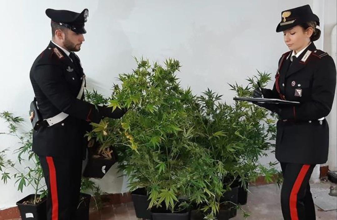 La Maddalena, pregiudicato arrestato per spaccio