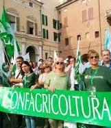 Agricoltori protestano oggi a Ferrara «Rischiamo il collasso»