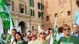 Agricoltori protestano oggi a Ferrara «Rischiamo il collasso»