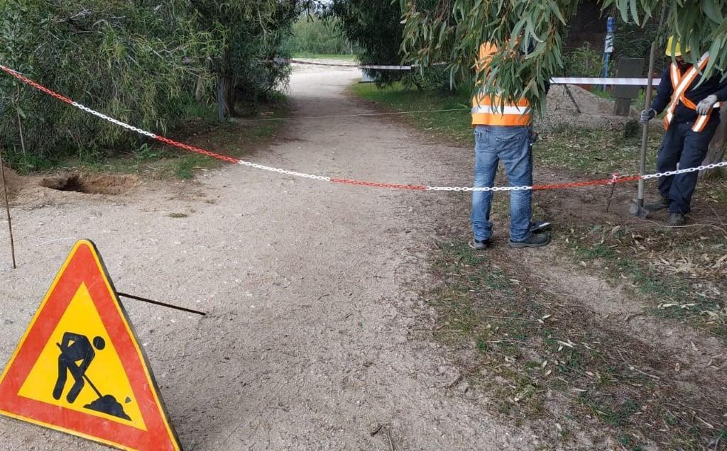 Automobili e coleotteri, lotta ai nemici della pineta 