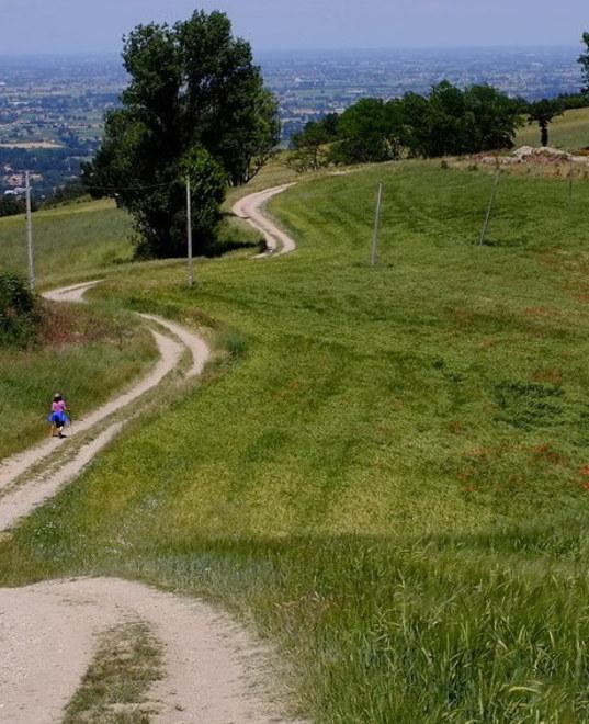 Le colline di Scandiano