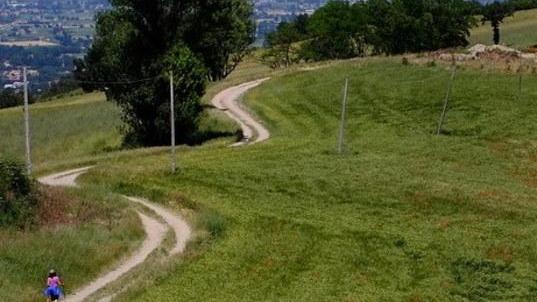 Le colline di Scandiano