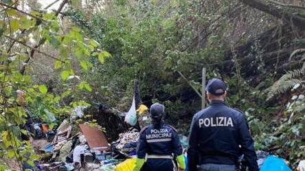 Scoperto il mercato della droga in mezzo al bosco