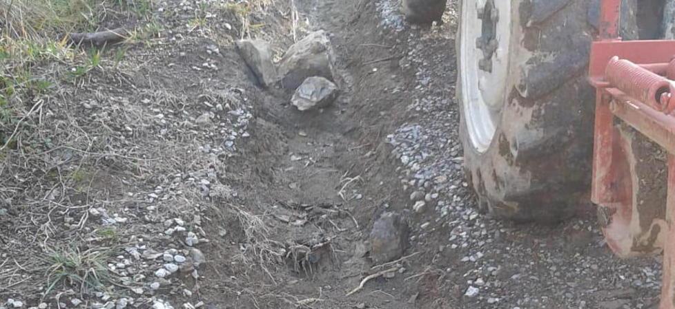 «Le strade di campagna disastrate, impossibile raggiungere orti e oliveti» 