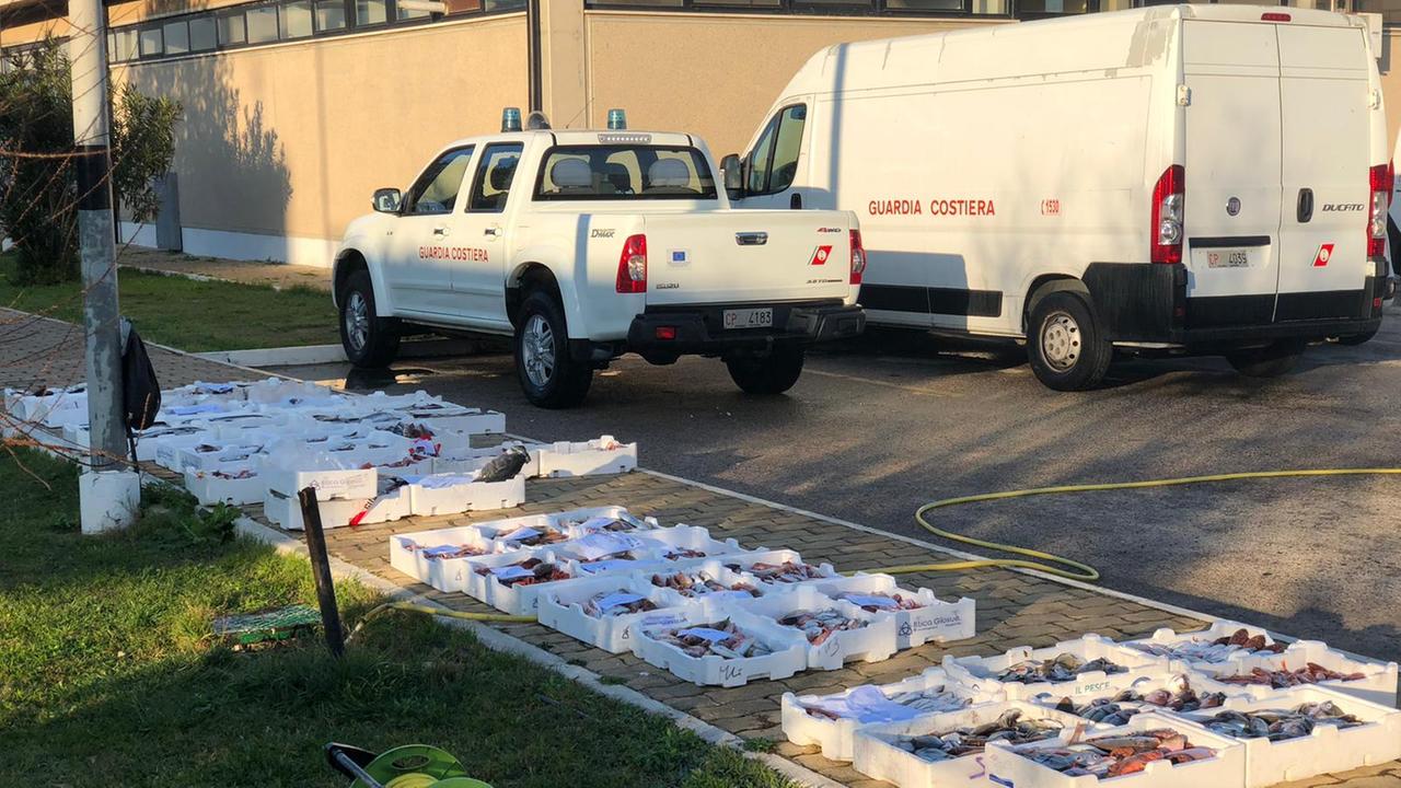 Cagliari, due quintali e mezzo di pesce sequestrati al mercato all'ingrosso