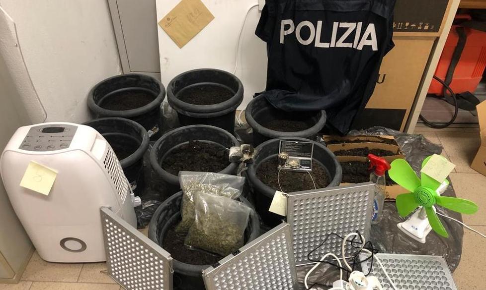 Parte degli strumenti per la coltivazione sequestrati dalla polizia