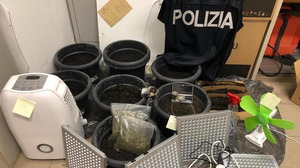 Parte degli strumenti per la coltivazione sequestrati dalla polizia
