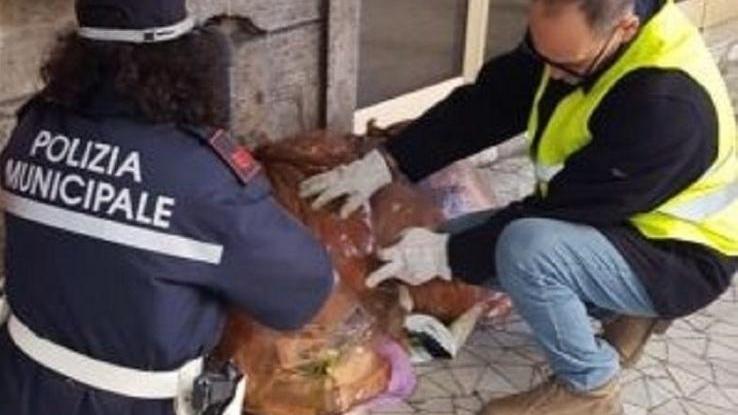 Non differenzia i rifiuti: la polizia municipale gli fa 100 euro di multa