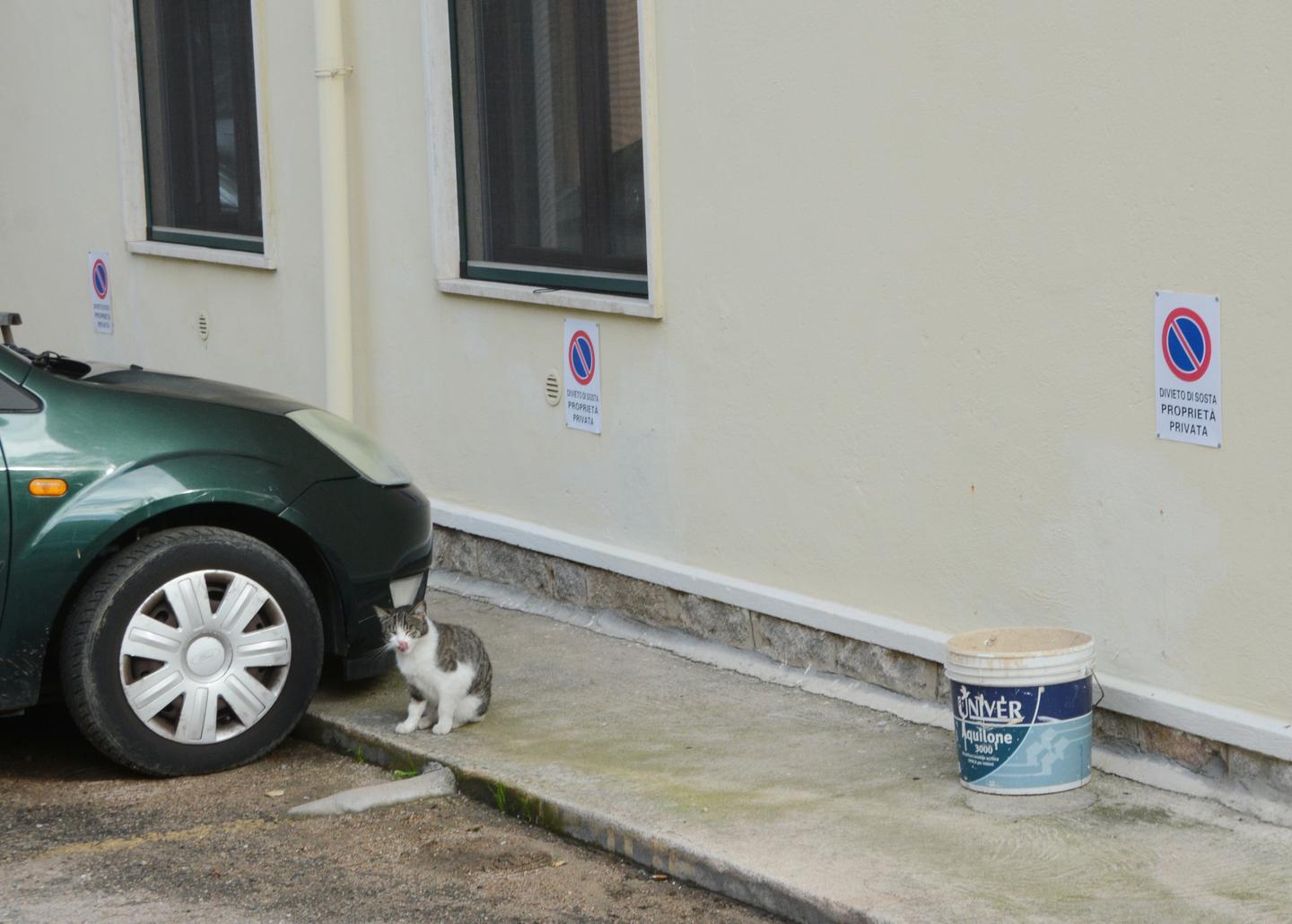 I parcheggi adesso si “privatizzano” 