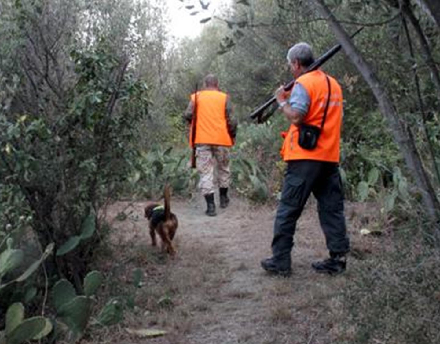 Cacciatore ferito al fianco al termine di una battuta 