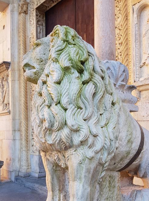 Modena, sui leoni del Duomo piove acqua da una grondaia, lavori a primavera 
