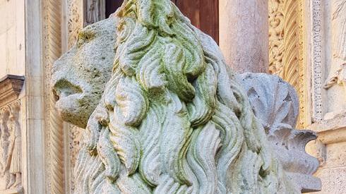 Modena, sui leoni del Duomo piove acqua da una grondaia, lavori a primavera