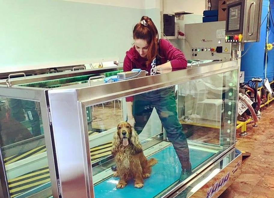 C’è il centro di riabilitazione per i dolori e l’artrosi di Fido 