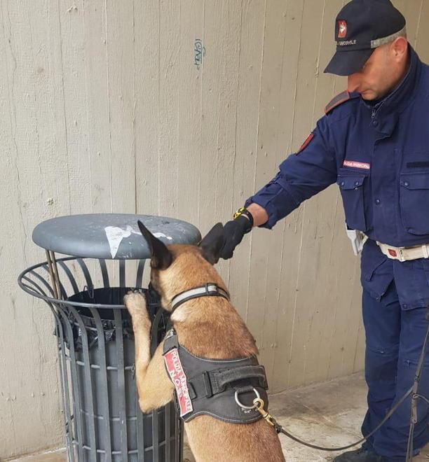 La Municipale e Van Basten trovano droga 