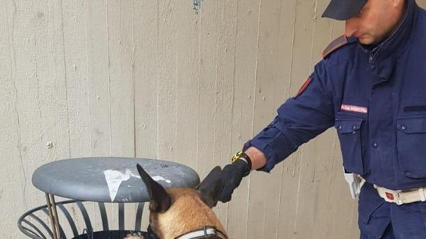 La Municipale e Van Basten trovano droga