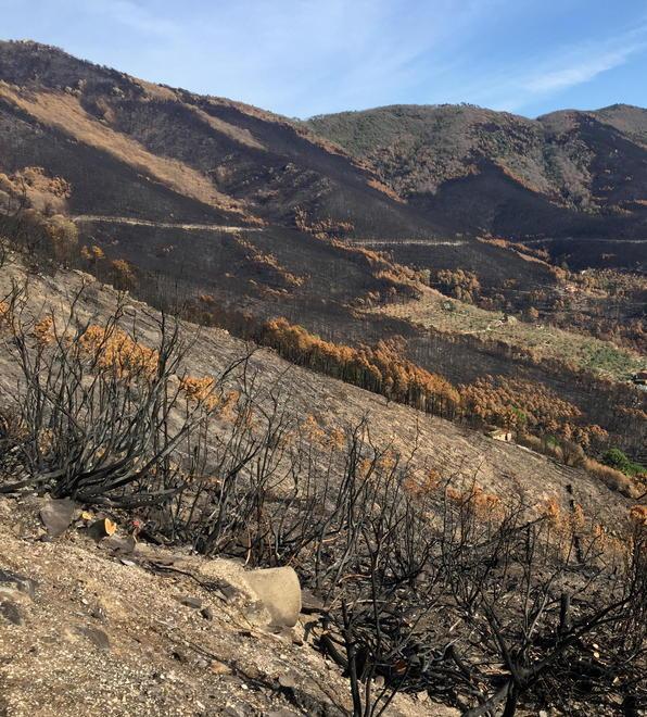 Prevenzione contro gli incendi Lavori al via in zona Prataccio 