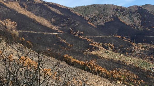 Prevenzione contro gli incendi Lavori al via in zona Prataccio