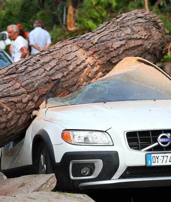 Auto distrutta dal pino Il titolare perde la causa 
