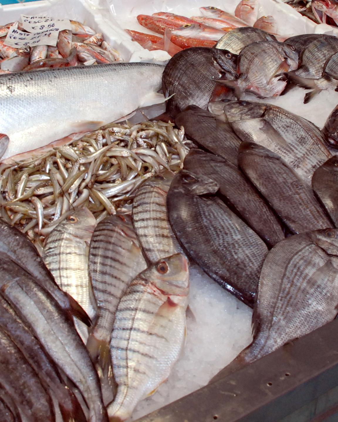 Dal mare al mercato, a Campagna amica arriva il pesce fresco