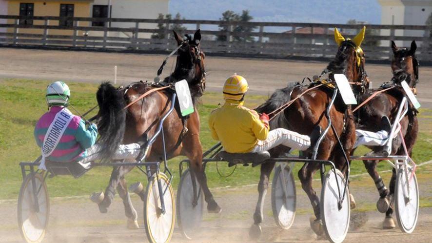 Riapre l’ippodromo dei Pini, riunioni di trotto ogni lunedì Da maggio anche il galoppo