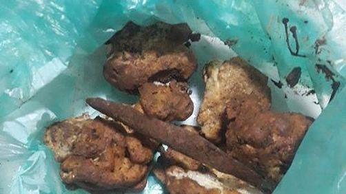 Spugne fritte esche per cani Paura per i bocconi killer