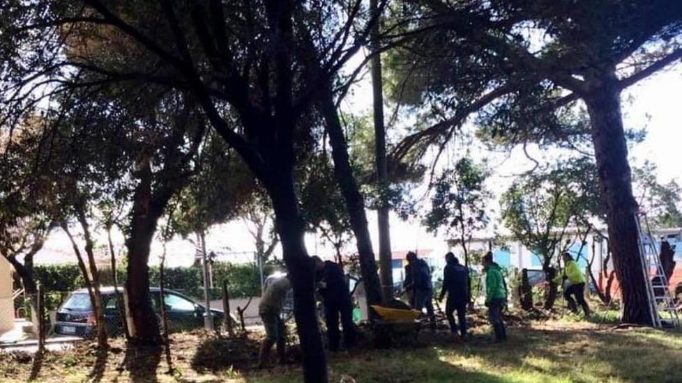 I genitori dei bimbi di Vada adottano il giardino della scuola e ricostruiscono la recinzione