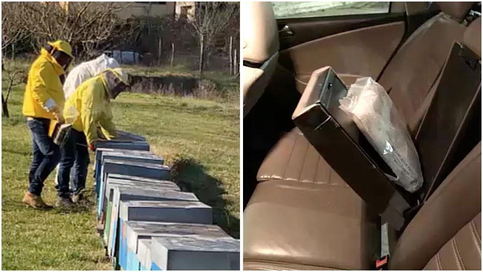 Spaccio, prostitute e la copertura delle api. Sgominata banda italo-albanese: 11 arresti 